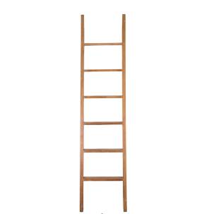 20th Century Library Ladder